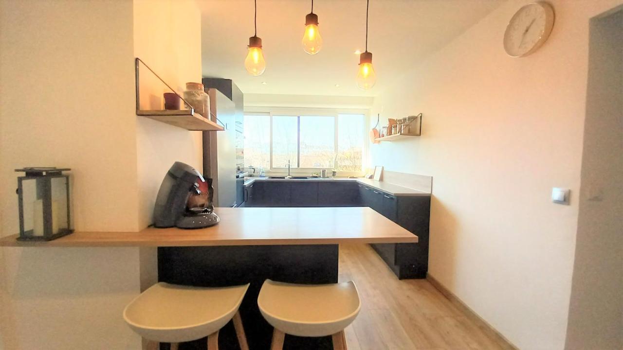 Magnifique Cocon - Metro A Republique - 2 Belles Chambres Avec Dressings - Wifi Gratuit - Netflix - Au Calme Absolu - Lumineux - Jardin Arbore Partage Dans La Residence Villeurbanne Luaran gambar